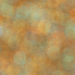 Bokeh-485